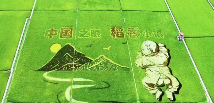 扎赉特旗好力保镇的稻田画