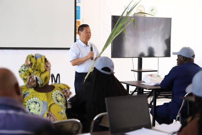 ↑福建农林大学学生古丽则巴·尼牙孜（左）和同学在福建农林大学国家菌草工程技术研究中心进行巨菌草的脱毒苗组培工作。