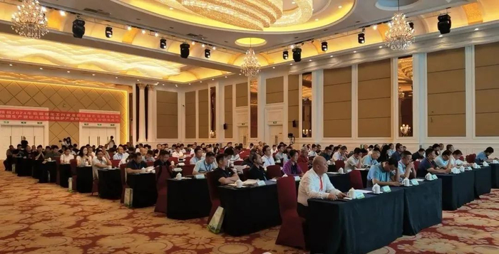 大会现场 照片