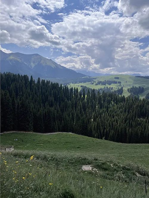新疆东北部江布拉克景区   《中国经济周刊》记者  牛朝阁I摄