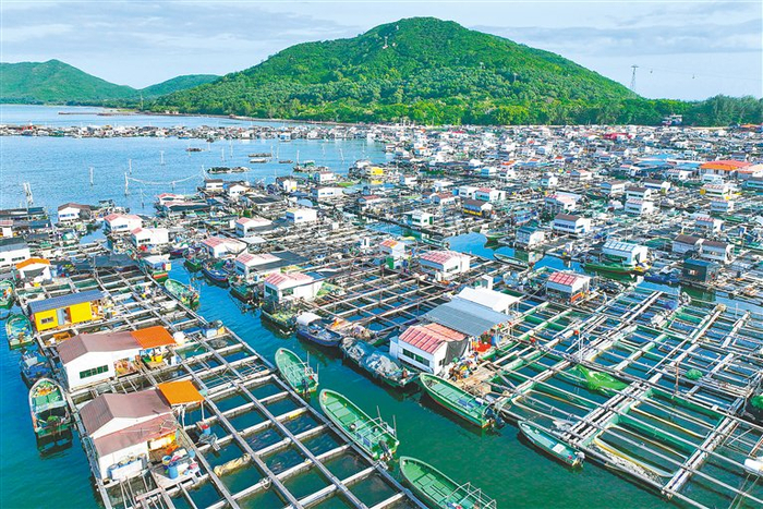陵水新村镇疍家渔排。海南日报全媒体记者 王程龙 摄