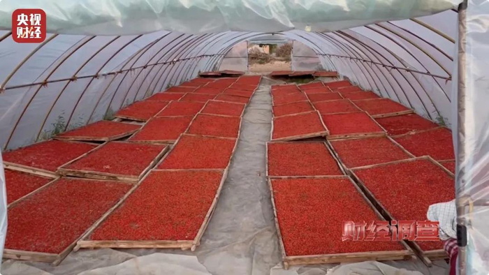 图源：央视财经