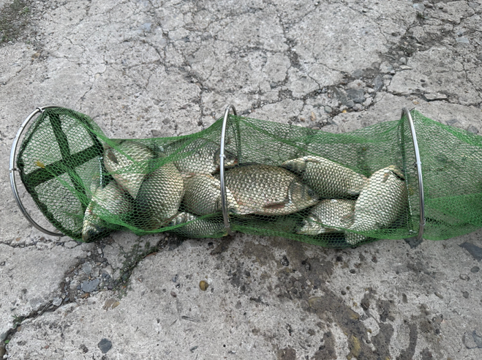 江蓠相册中100张照片90张和鱼相关（图源：受访者）