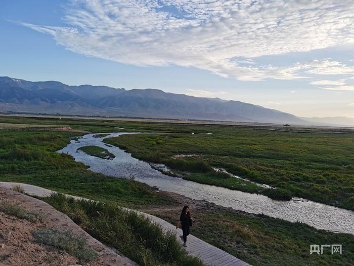 高家湖湿地风景如画（央广网发 王倩倩 摄）