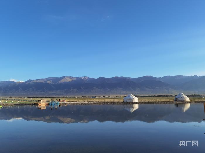 高家湖湿地风景如画（央广网记者夏莎 摄）