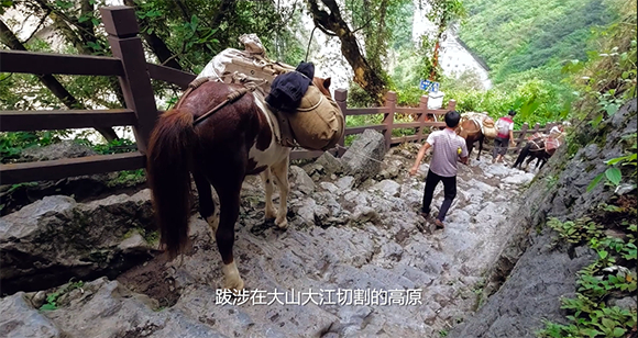 茶马古道。《滇商之道》视频截图