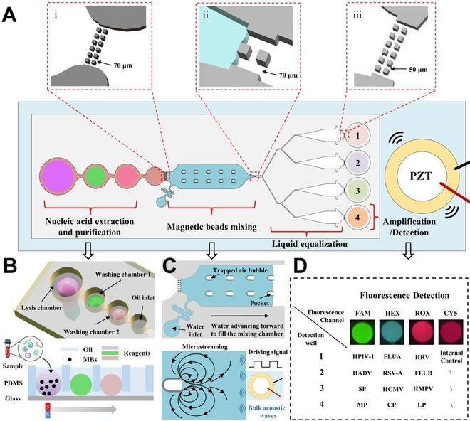 用于同时检测多种呼吸道病原体的集成微流控芯片示意图。