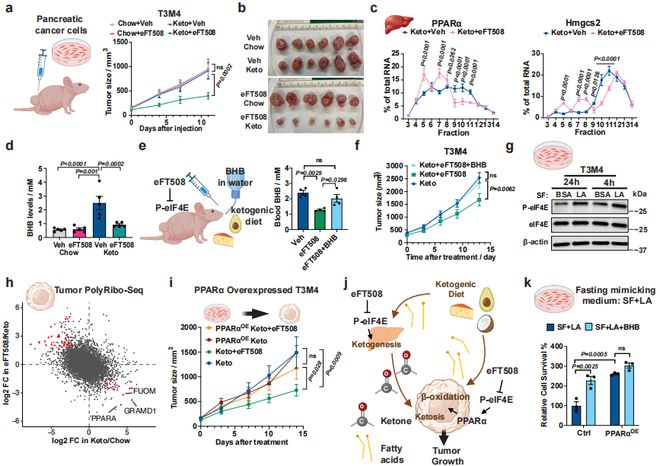 （来源：Nature）