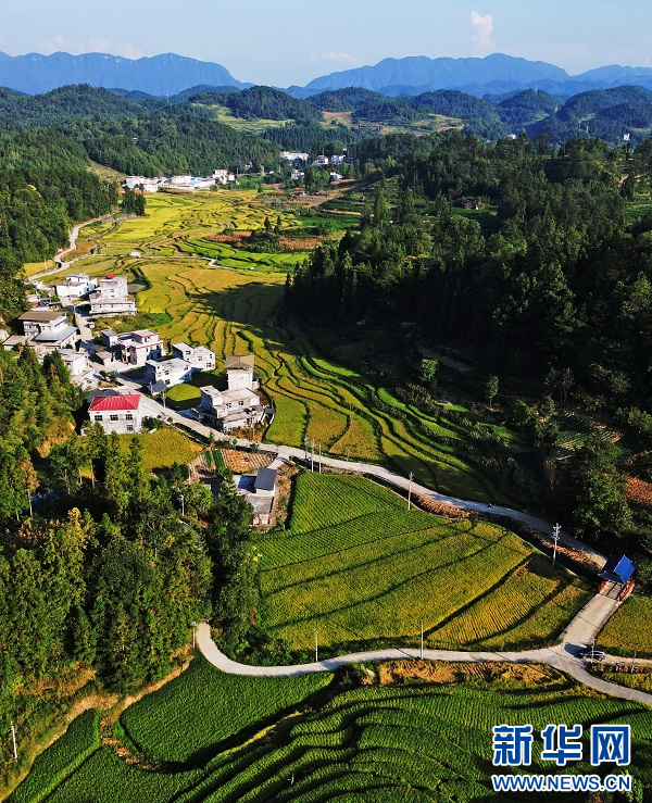 6969图为咸丰县坪坝营镇土司坝村的梯田风光.新华网发 李维君摄