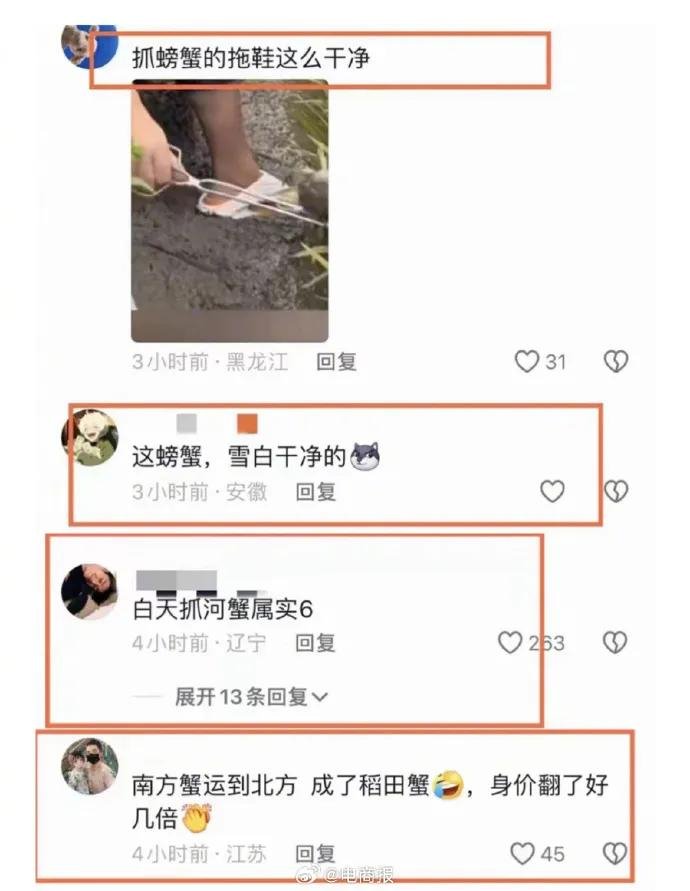 网友评论 图源：电商报