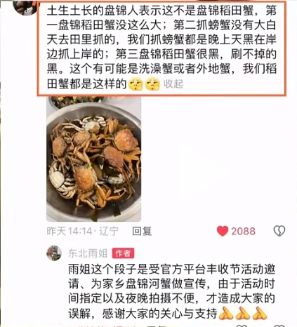 图片来源：津云视频截图