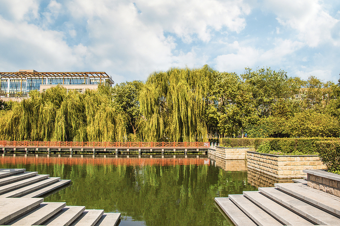 河南师范大学校园一景。图/视觉中国