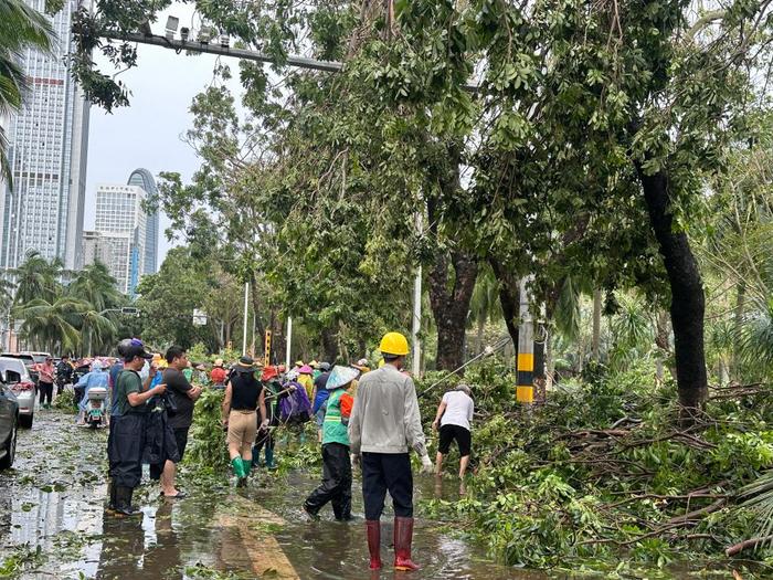 中国经济网：2022年澳门码精准资料“海口市：台风过后的紧急救援行动” 台风 海口市 救灾 见闻 海口 渔民 万绿园 陈凯 居民 赵玉 sina.cn 第4张