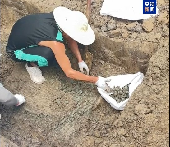 △文管所工作人员对钱币窑藏进行抢救性发掘。