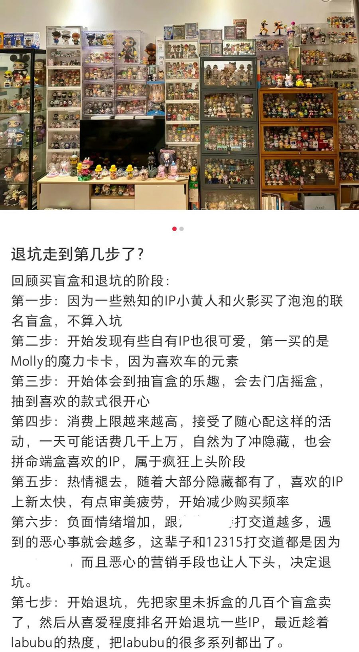 图为一名网友分享的“退坑”经历。（图片源自小红书）