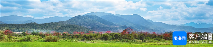 霸王岭全景。陈泰伍 摄
