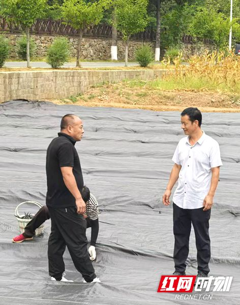 柞水县木耳技术员杜宝全（左）和柞水县金米村木耳种植大户陈庆海（右）进行交流。