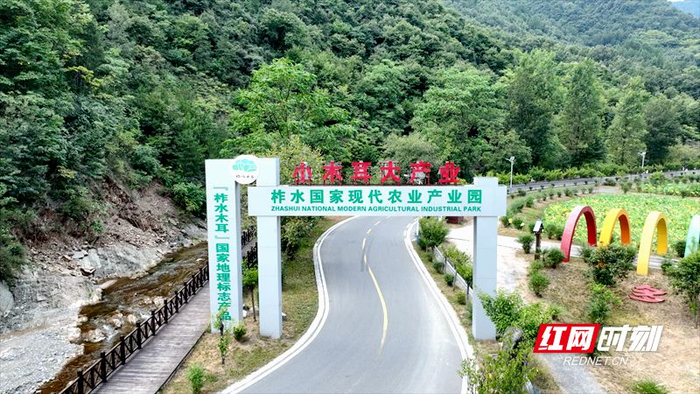 陕西省商洛市柞水县金米村。