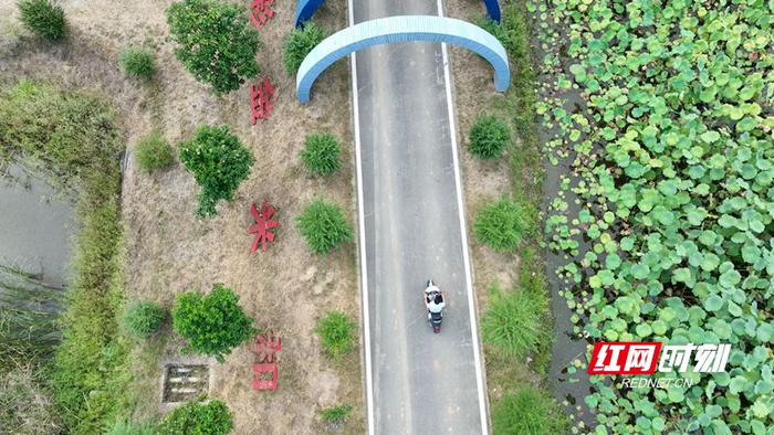 陕西省柞水县金米村木耳种植大户陈庆海骑着电动摩托车，朝农田方向驶去。