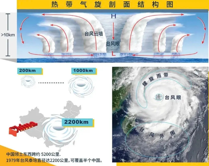 资料图。来源：上海发布