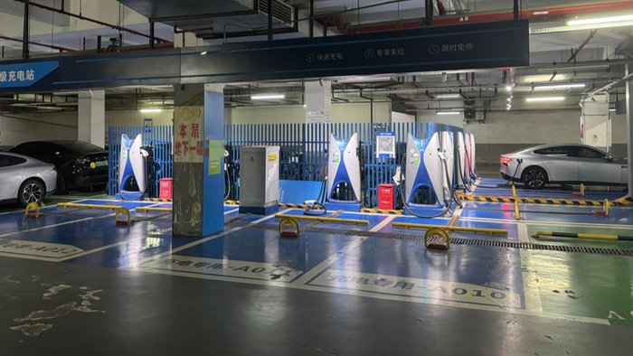 本文图片均为上观新闻 图