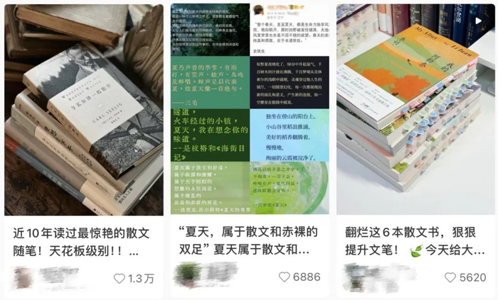 网友分享的散文 图源：社交平台截图