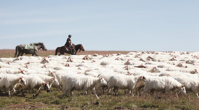 本版图片由刚察县委宣传部提供。