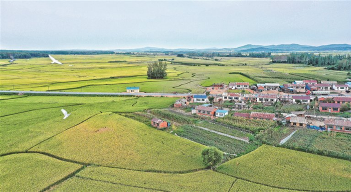 重建后的尚志市老街基乡龙王庙村。本报资料片