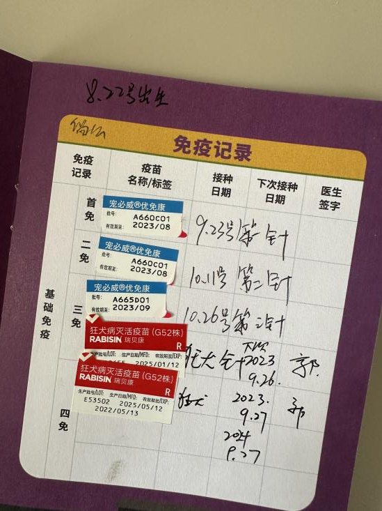 张鑫淼向记者展示了一只正规渠道售卖的犬只的疫苗本和接种记录