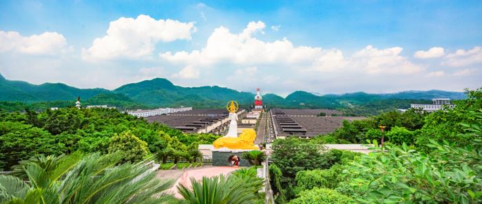 五粮液生态酿酒基地