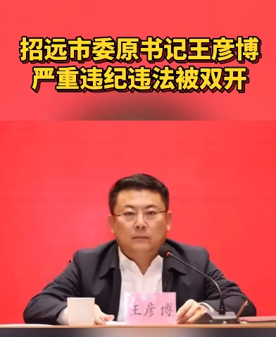 图片来源：半岛都市报视频号截图