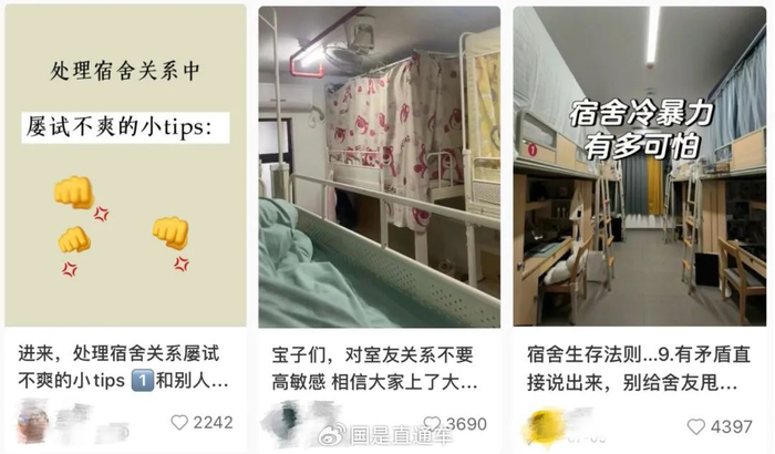 网友分享室友相处感受 图源：社交平台截图