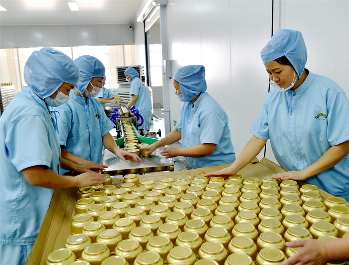 砀山县龙润堂生产基地，工人正在包装小吊梨汤。本报通讯员 李艳龙 摄