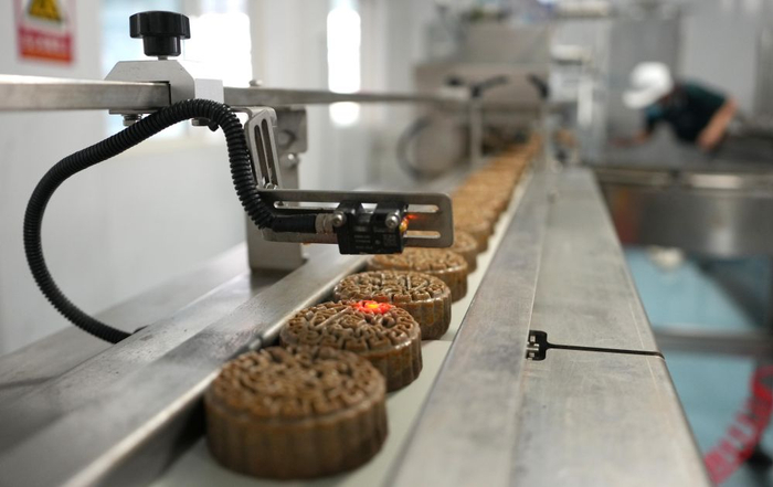 山东省新泰市翟镇一家食品生产企业的月饼生产线（8月14日摄）。新华社记者 徐速绘 摄