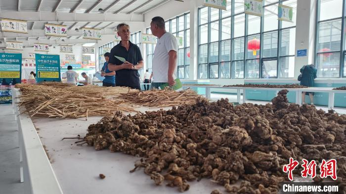 图为摆放有序的药材。林雨涵 摄