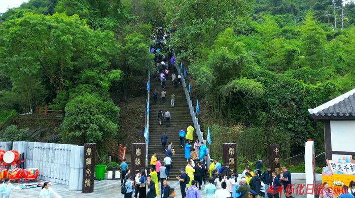 游客来到沅陵进行“朝圣中华书山”主题游（沅陵县委宣传部 供图）