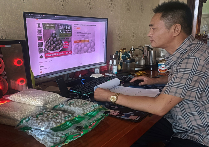 通过“天丰芡实”电商平台向全国各地销售刚上市的芡实果