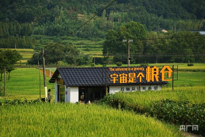 位于一片稻田中的“宇宙是个粮仓”（央广网记者 赵家慧摄）