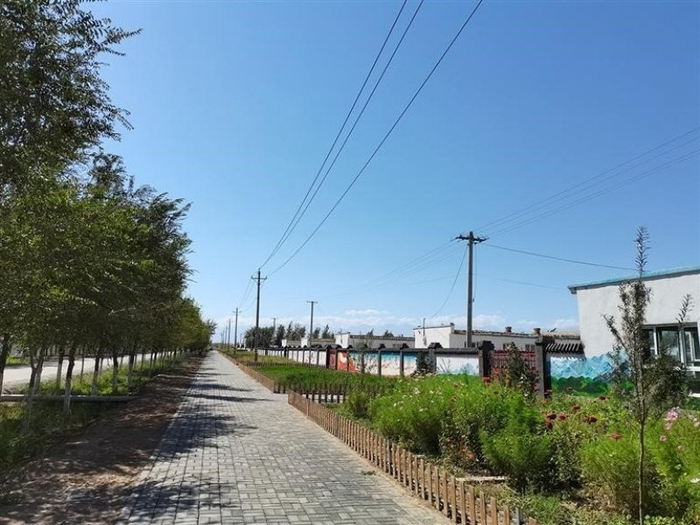 吉木萨尔县整洁干净的乡村街道  （吉木萨尔县委宣传部供图）