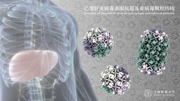 图说：我国学者揭开乙肝病毒神秘面纱 采访对象供图（下同）