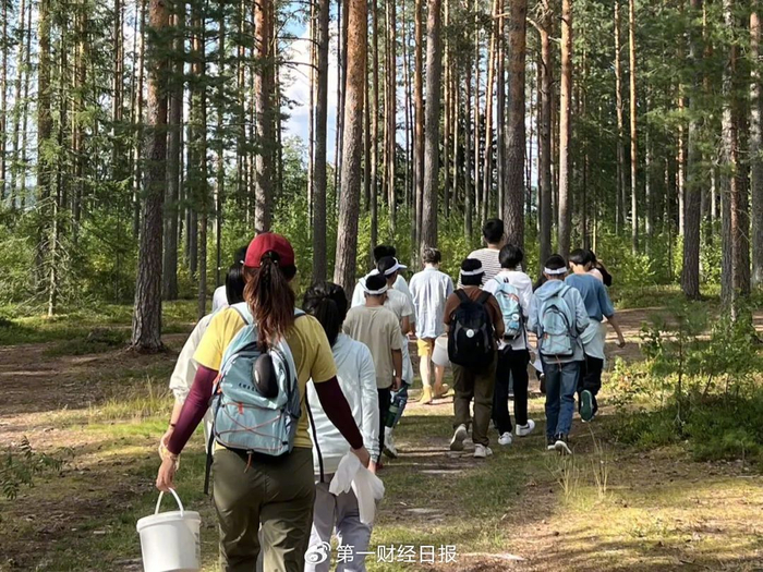 图为张迎女儿今年暑假在芬兰参加的户外营地活动。