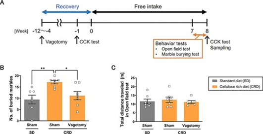 图4. 迷走神经切断可抑制高纤维素饮食诱导的焦虑