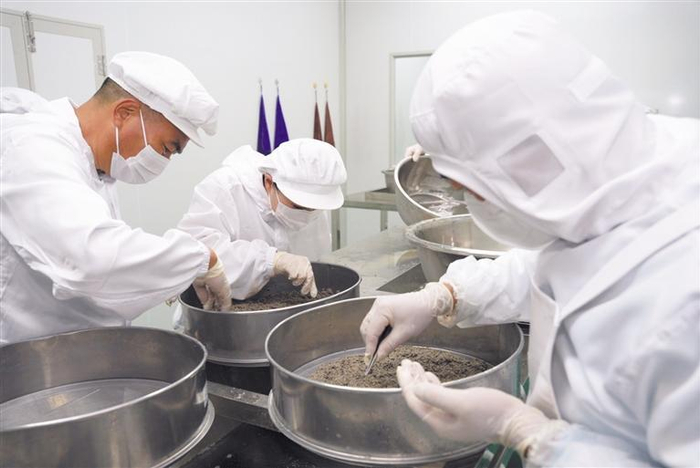 加工鱼子酱。李杨帆 摄