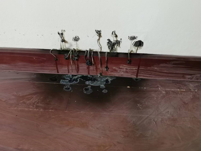 　　业主的房屋泡水后，墙角地板上长出了蘑菇。吴采平/摄