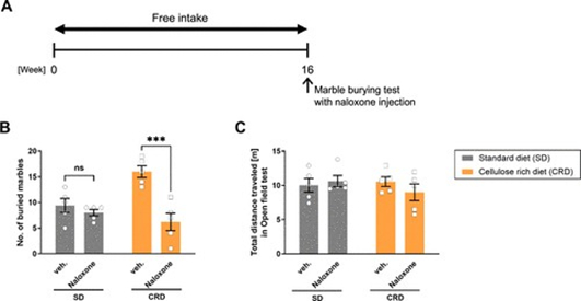 图5. 阿片受体拮抗剂抑制了高纤维素饮食诱导的焦虑