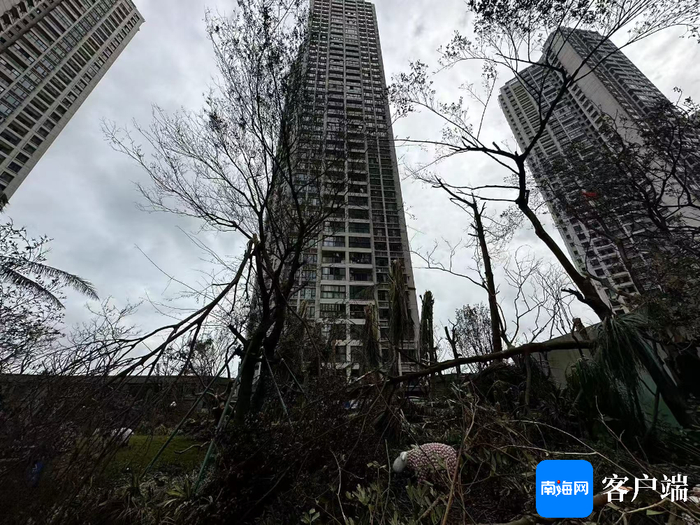 楼层的多户窗户被台风摧垮。记者 王威 摄