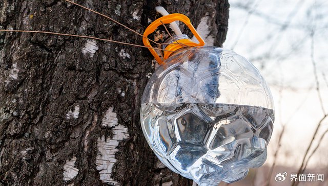 图片来源：视觉中国