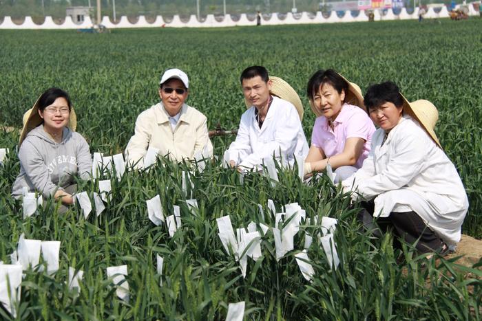 2014年，李振声（左二）到中国科学院遗传与发育生物学研究所昌平试验基地调研，与年轻科研人员合影留念。刘小京供图