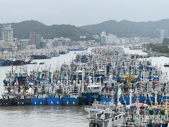 浙江省舟山市普陀区防指于9月13日启动防台风四级应急响应，沈家门渔港停满了前来避风的渔船、海钓船等各类船只。谢蕾 摄影
