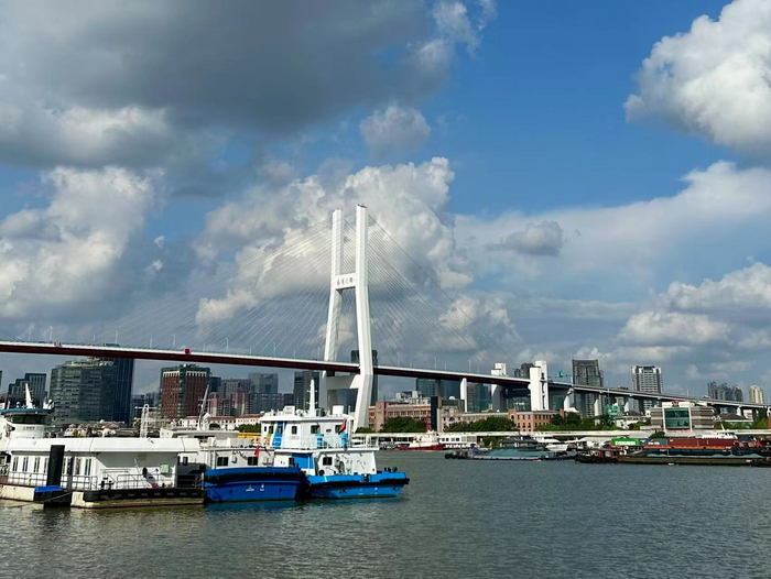 江上的货船、游船。（时代周报记者 王晨婷/摄）